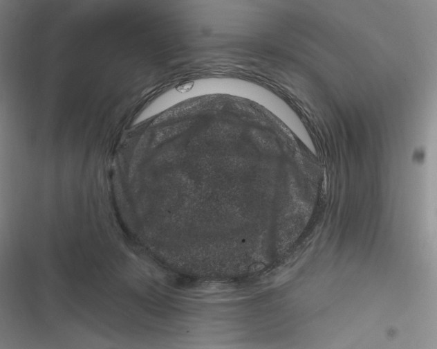 X0000116870319201001121307