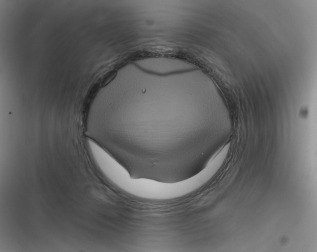 X0000116870320201001121307