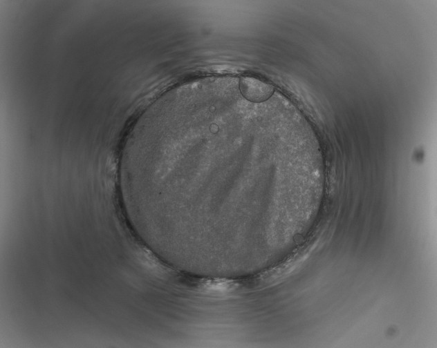 X0000116870321201001121307