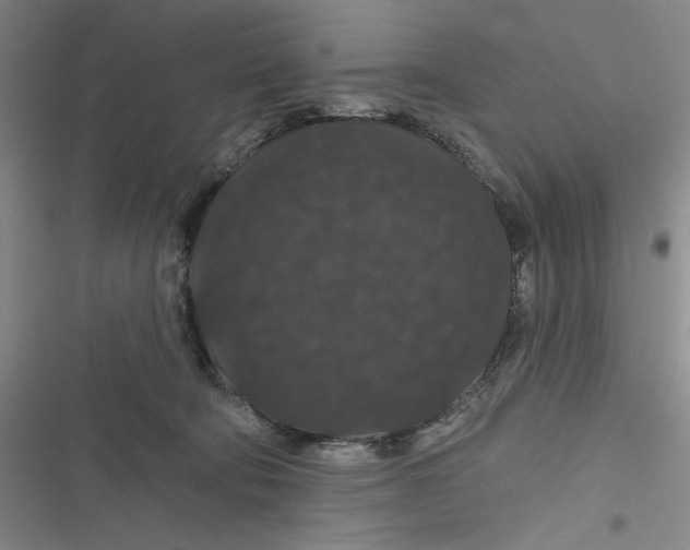 X0000116870322201001121307