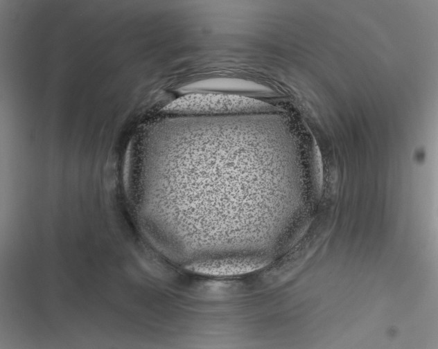 X0000116870323201001121307