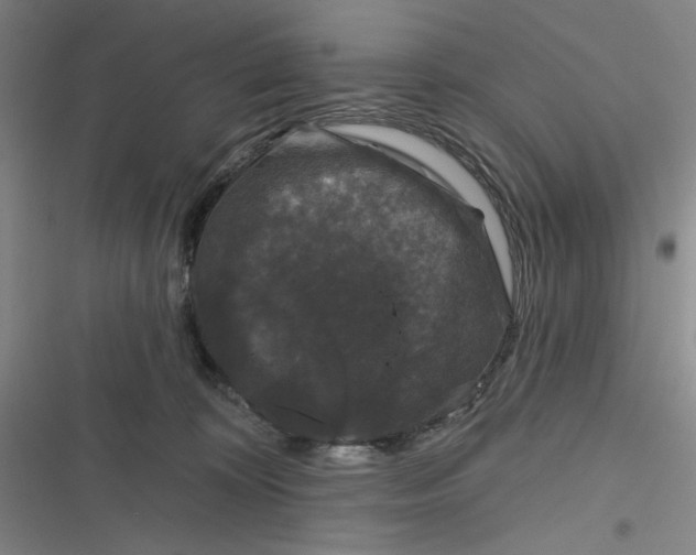 X0000116870324201001121307