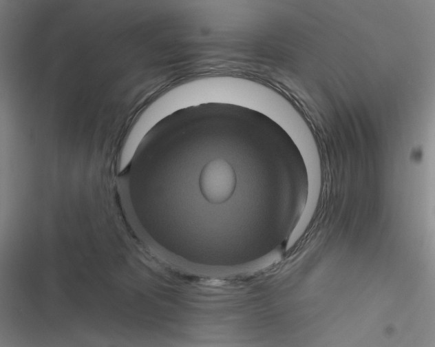 X0000116870325201001121307