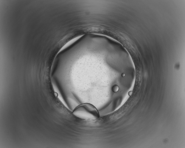 X0000116870326201001121307