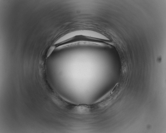 X0000116870327201001121307