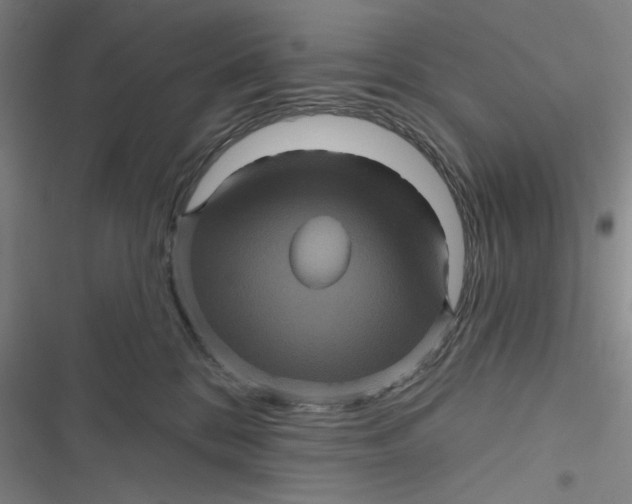 X0000116870328201001121307