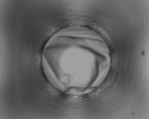 X0000116870329201001121307