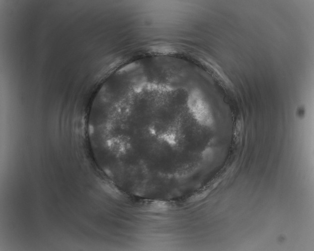 X0000116870330201001121307