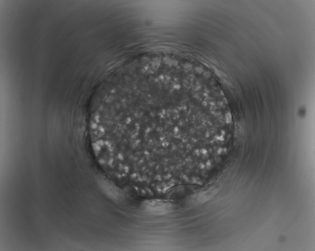 X0000116870331201001121307