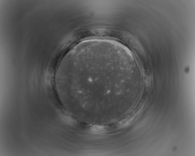 X0000116870332201001121307