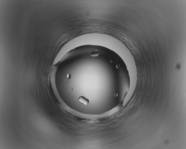 X0000116870333201001121307