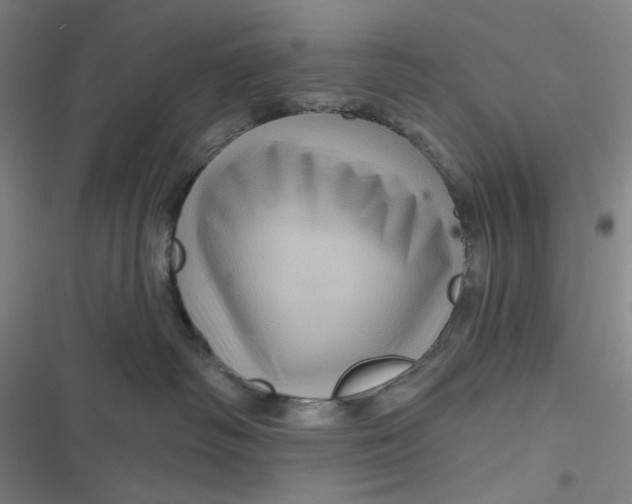 X0000116870334201001121307