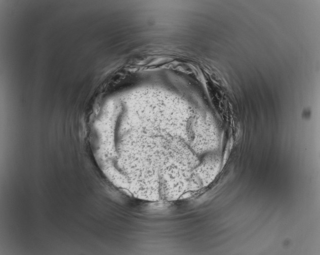 X0000116870335201001121307