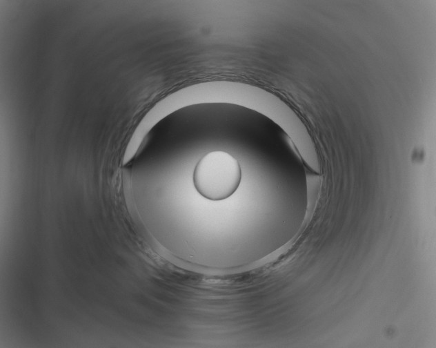 X0000116870336201001121307