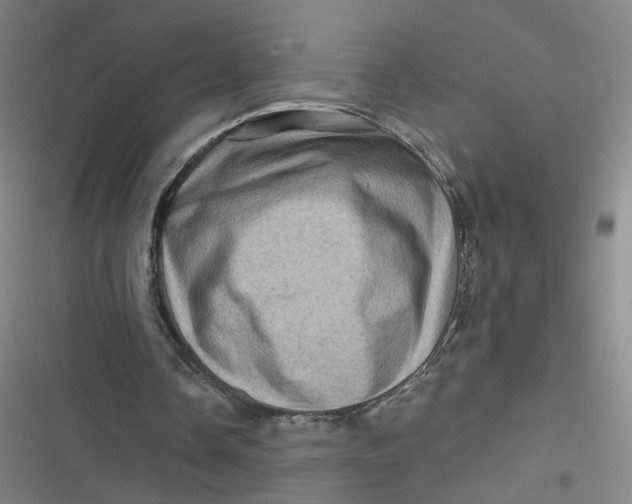 X0000116870338201001121306