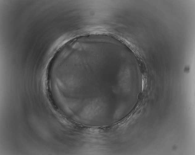 X0000116870339201001121306