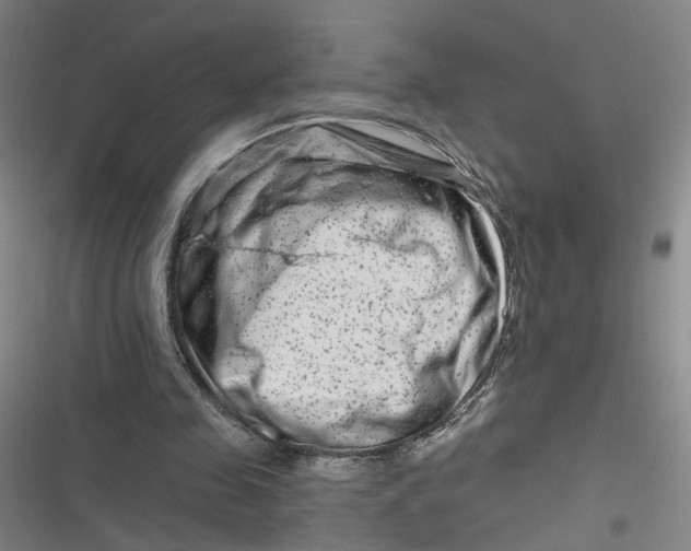 X0000116870341201001121306