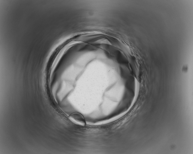 X0000116870342201001121306