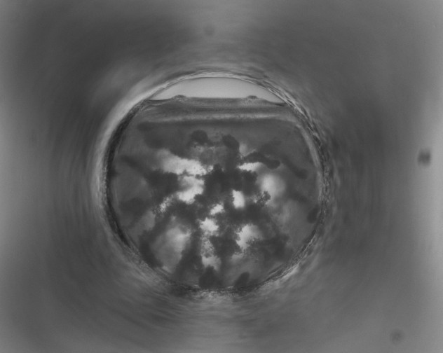 X0000116870343201001121306