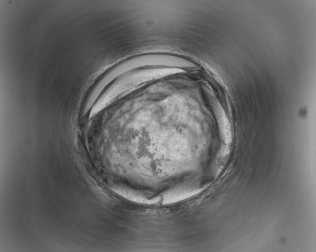 X0000116870345201001121306