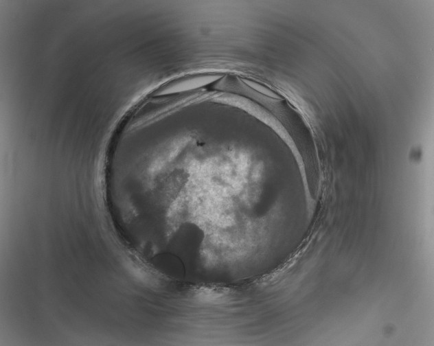 X0000116870346201001121306