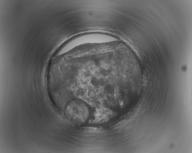 X0000116870347201001121306