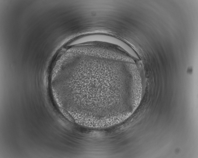 X0000116870350201001121306