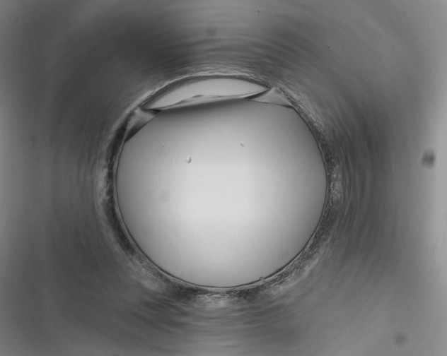 X0000116870351201001121306