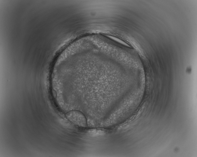 X0000116870354201001121306