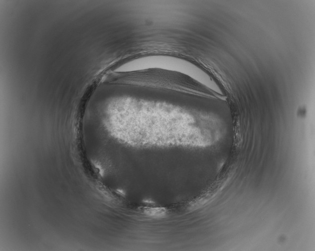 X0000116870355201001121306