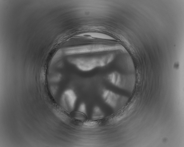 X0000116870357201001121306