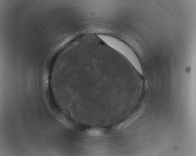 X0000116870358201001121306