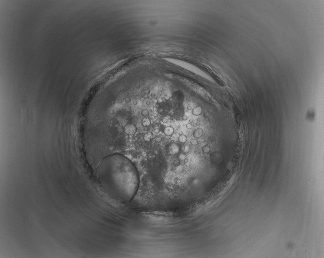 X0000116870359201001121306