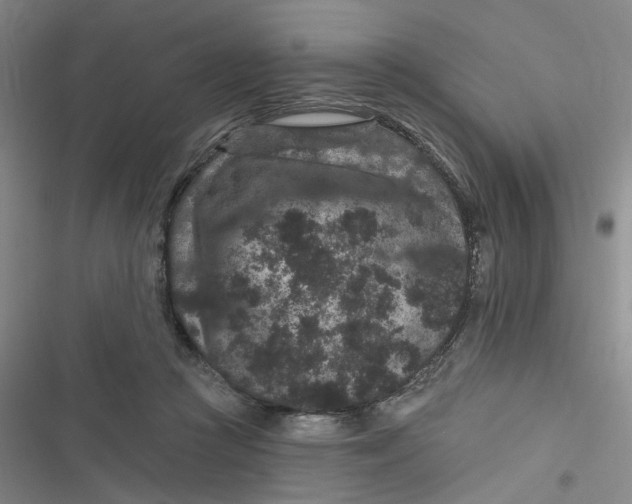 X0000116870361201001121306