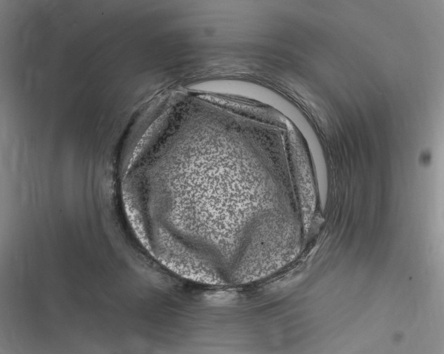 X0000116870362201001121306