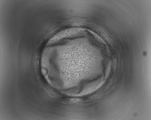 X0000116870363201001121306