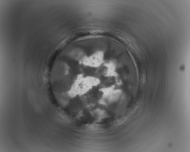 X0000116870367201001121306