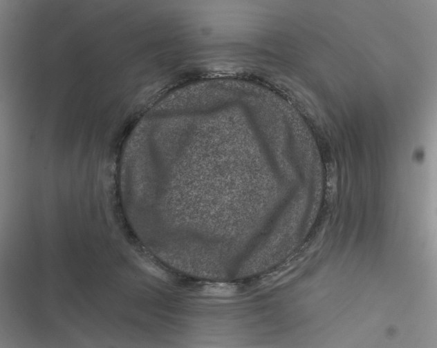 X0000116870369201001121306