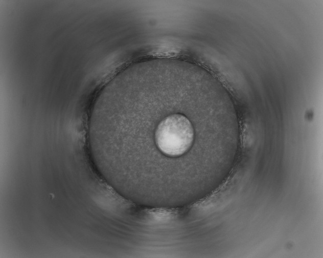 X0000116870370201001121306