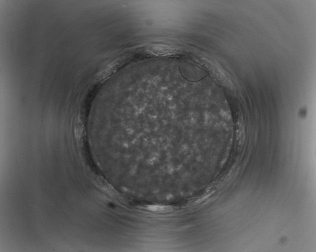 X0000116870371201001121306