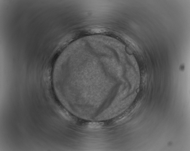 X0000116870373201001121306