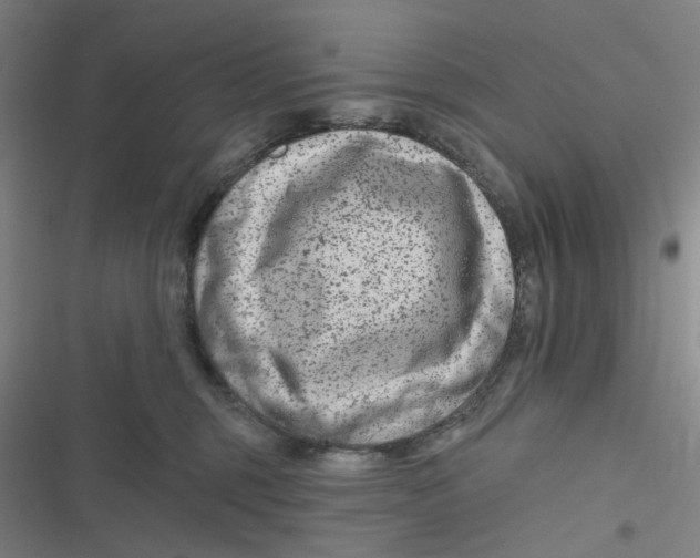 X0000116870375201001121307