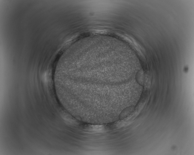 X0000116870377201001121307