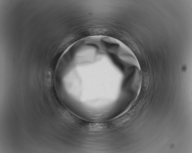 X0000116870378201001121307