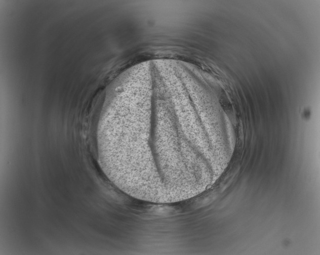 X0000116870379201001121307