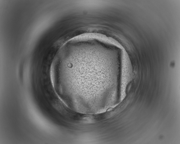 X0000116870381201001121307