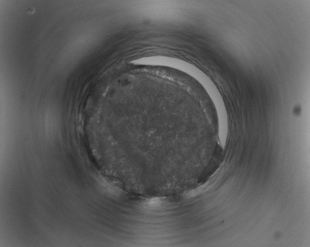 X0000116870382201001121307