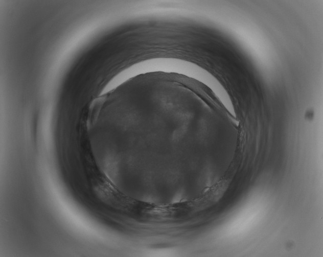 X0000116870383201001121307