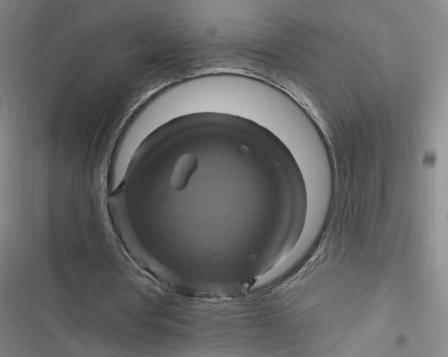 X0000116870386201001121306