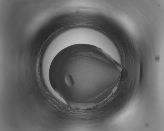 X0000116870387201001121306